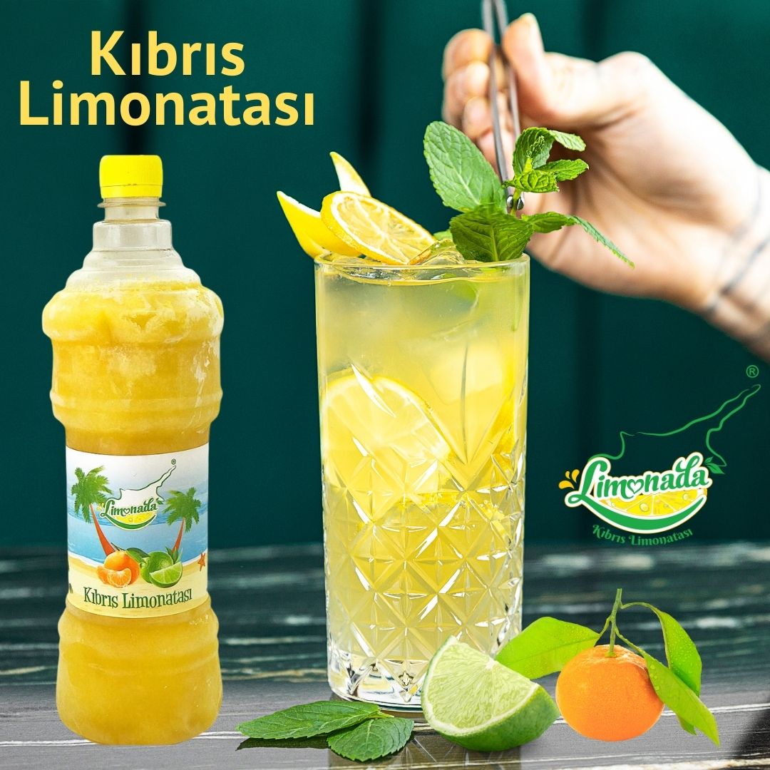 Home-Skin-Auto-Mechanic-slide-show