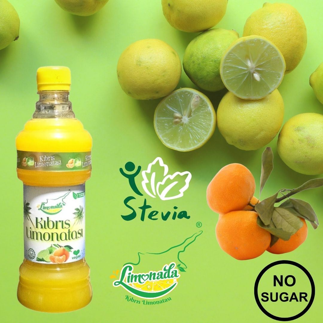 Home-Skin-Auto-Mechanic-slide-show